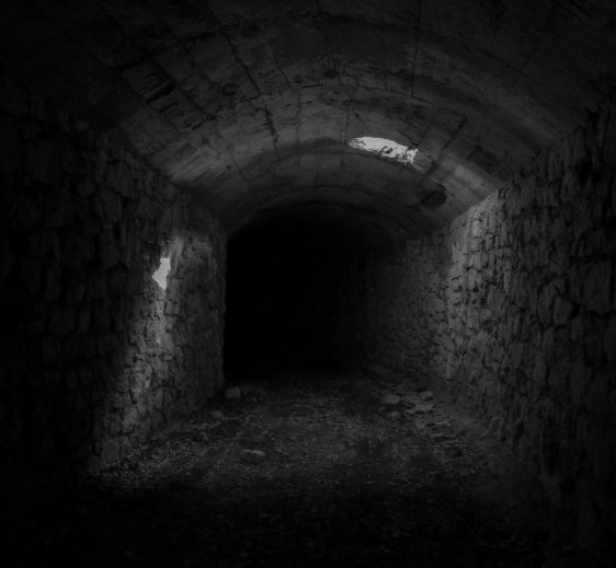 Eingang eines dunklen Tunnels, nur am Anfang fällt noch etwas Licht hinein